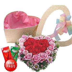 �󼼳��뺸��